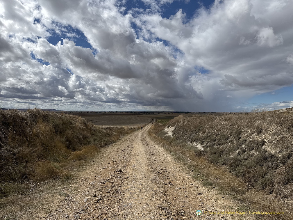 IMG 0617-watermarked