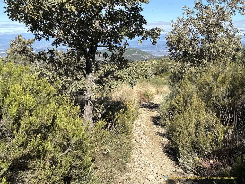 IMG 0668-watermarked