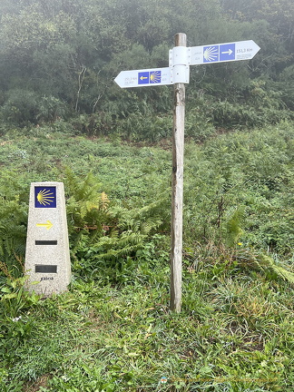 IMG 0661-watermarked