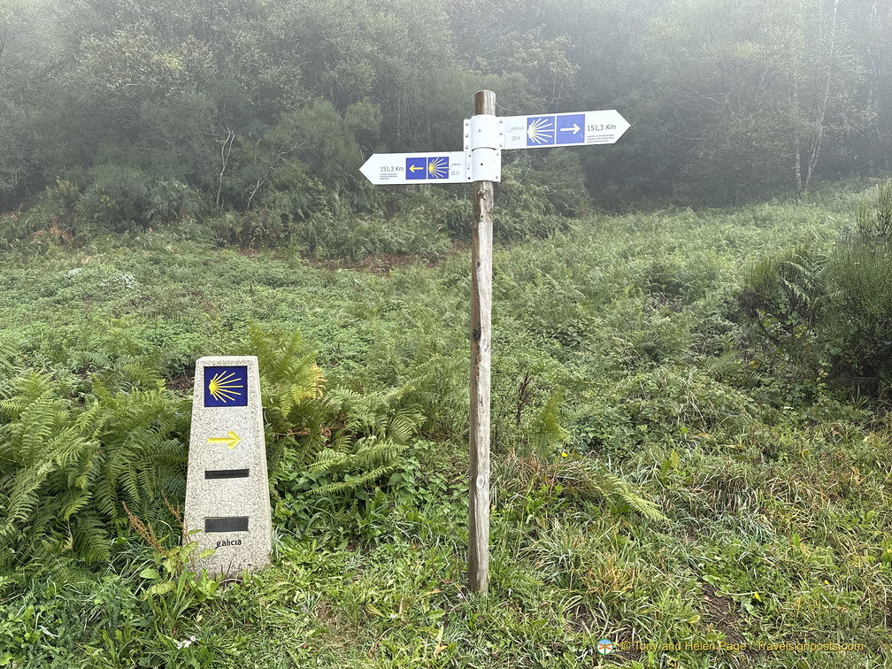 IMG 0711-watermarked