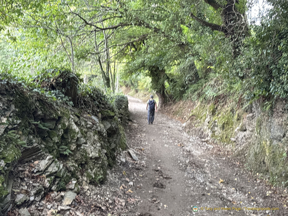 IMG 0723-watermarked