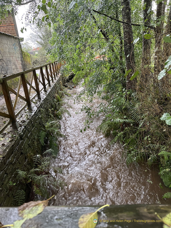 IMG 0678-watermarked