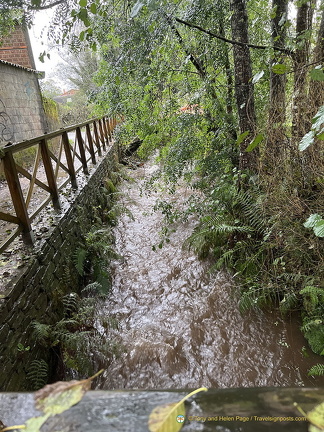 IMG 0678-watermarked (836 visits) IMG 0678-watermarked