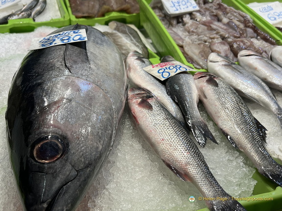 Bilbao IMG 4298-watermarked