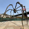 Bilbao IMG 4229-watermarked
