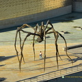 Guggenheim-Bilbao AJP2925