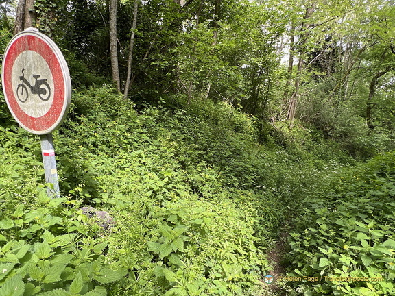 Beaulieu-sur-Dordogne IMG 0708