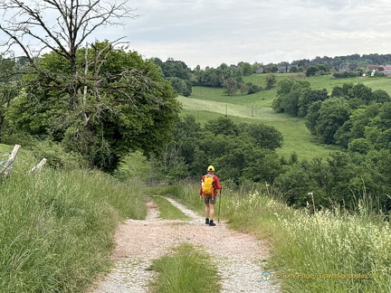 Beaulieu-sur-Dordogne IMG 0774