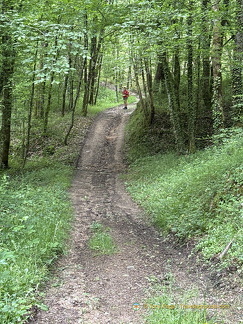 Beaulieu-sur-Dordogne IMG 0775