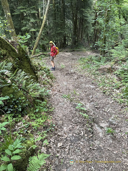 Beaulieu-sur-Dordogne IMG 0783