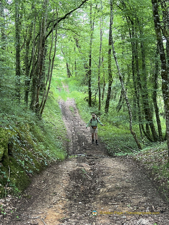 Beaulieu-sur-Dordogne IMG 0699