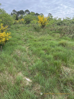 Beaulieu-sur-Dordogne IMG 0701