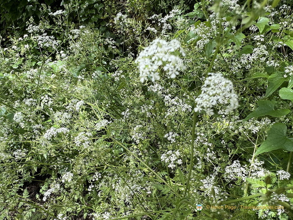 Rocamadour IMG 6486 (318 visits) Rocamadour IMG 6486