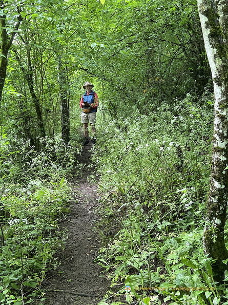Rocamadour IMG 0763 (375 visits) Rocamadour IMG 0763