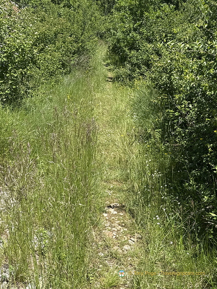 Martel-Sarrazac IMG 0883