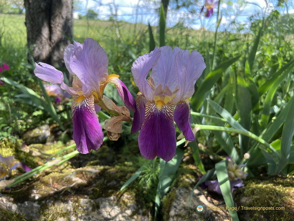 Turenne Collonges-la-Rouge IMG 0861