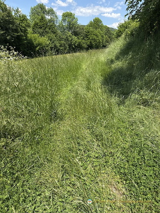 Turenne Collonges-la-Rouge IMG 0913