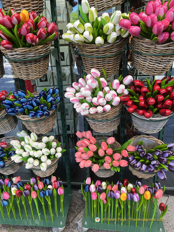 Keukenhof IMG 6006 (275 visits) Keukenhof IMG 6006