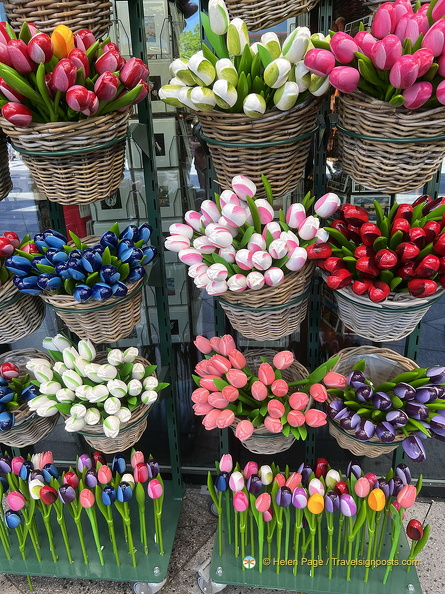 Keukenhof IMG 6006 (275 visits) Keukenhof IMG 6006