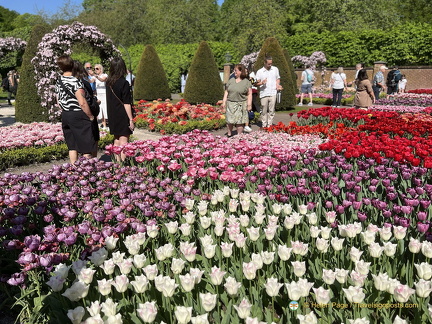 Keukenhof IMG 6010