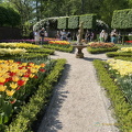 Keukenhof IMG 6017
