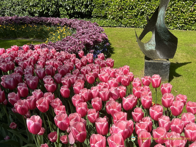 Keukenhof IMG 6035