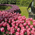 Keukenhof IMG 6035 (283 visits) Keukenhof IMG 6035