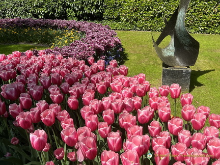 Keukenhof IMG 6035