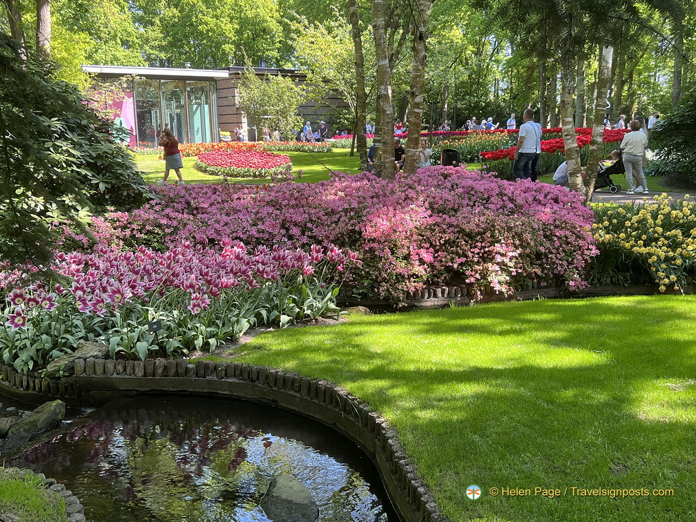 Keukenhof IMG 6054 (321 посещения) Keukenhof IMG 6054