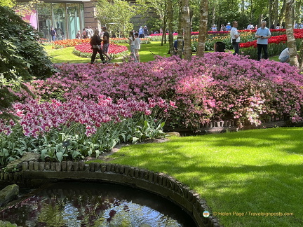 Keukenhof IMG 6055