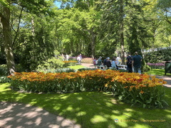 Keukenhof IMG 6056