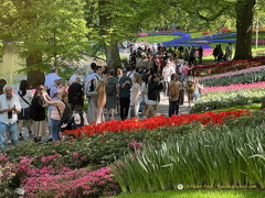 Keukenhof IMG 6061