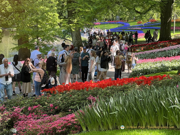 Keukenhof IMG 6061