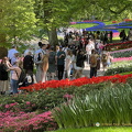Keukenhof IMG 6061