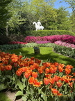 Keukenhof IMG 6065