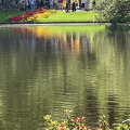 Keukenhof IMG 6071