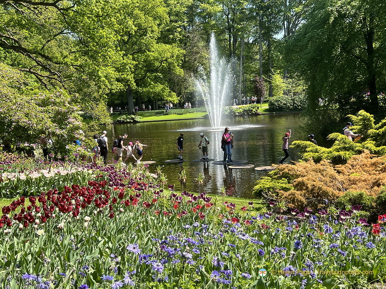 Keukenhof IMG 6074