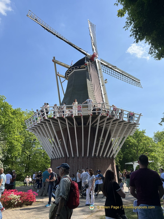 Keukenhof IMG 6093 (278 visits) Keukenhof IMG 6093