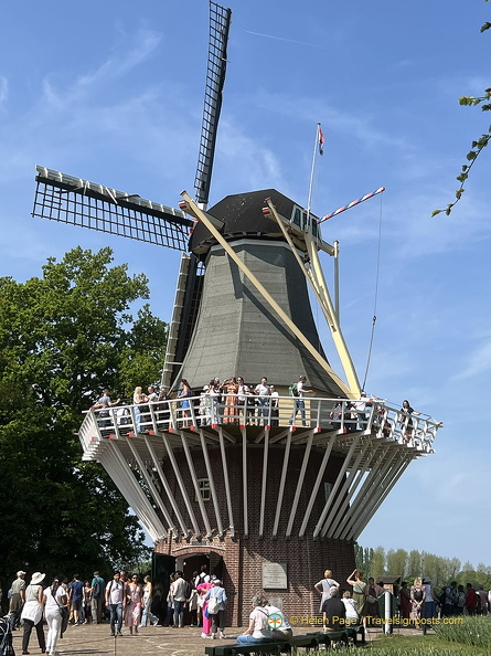 Keukenhof IMG 6098 (262 visits) Keukenhof IMG 6098