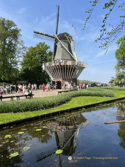 Keukenhof IMG 6100