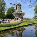 Keukenhof IMG 6100