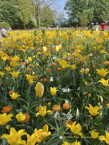 Keukenhof IMG 6101 (256 visits) Keukenhof IMG 6101