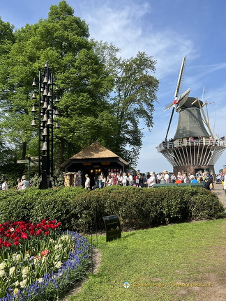Keukenhof IMG 6106