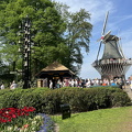 Keukenhof IMG 6106