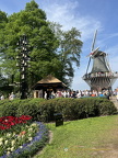 Keukenhof IMG 6106