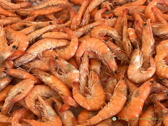 Brive-la-Gaillarde IMG 6646