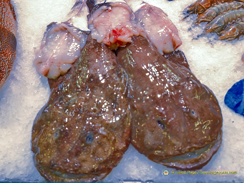 Bordeaux 2025 IMG 6979