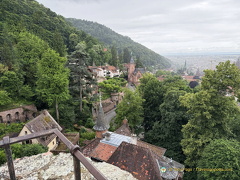 Heidelberg IMG 1363