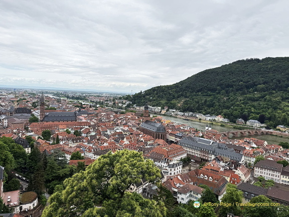 Heidelberg IMG 1368 (284 visits) Heidelberg IMG 1368