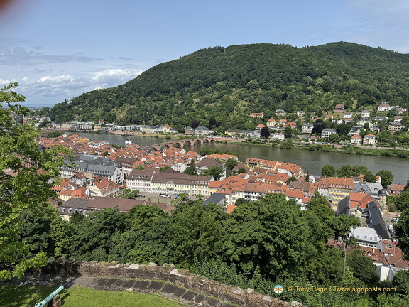Heidelberg IMG 1378 (251 visits) Heidelberg IMG 1378